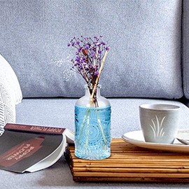 SuproBarware Glasdiffusorflaschen Set 4 Stck Leere Glasflaschen mit Schilfrohr-Diffusor Glasflaschen fr Raumduft Diffusor Duftst?bchenhalter fr ?therische ?le Selbermachen, dekorative Flaschen, Duftvase