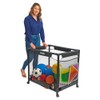 Excellerations Rolling Ball Cart