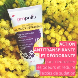 PROPOLIA - Bio – Ermüdungserscheinendes Fußgel – beruhigend, erfrischend und schweißhemmend – frische Textur – Propolis, Muskatellersalbei, Zypresse, Hamamelis & Arnika – hergestellt in Frankreich –