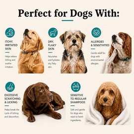 Natural Dog Company Champú para la piel sensible, avena y aloe vera, 12 oz, totalmente natural e hipoalergénico, no tóxico y libre de parabenos,...   