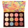 Coastal Scents - Painted Lady Eyeshadow Palette