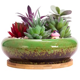 ARTKETTY Succulent Pots - 7.3 Inch Ceramic Bonsai Pots with Drainage Tray, Large Shallow Succulent Planters for Indoor Cactus Plants Decorative Flower Plant Container Bowl