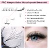 Fan Eyelash Extensions, 7D-C-0.07-14 Short Stem Ready-Made Volume Eyelashes, 0.10