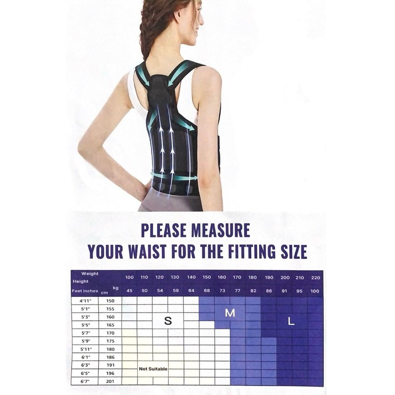 Generic Adjustable Back Brace (Medium)