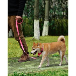 HSIGIO Martingale Collar for Dogs, Reflective Martingale Dog Collar and Leash Set, No Pull Adjustable Dog Training Collars with Quick Release Buckle(Pink, XS)