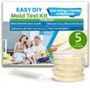 Evviva Sciences Mold Test Kit for Home - 5 Simple