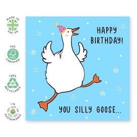 Central 23 Cute Birthday Card For Men Women - You Silly Goose - Birthday Cards For Boyfriend Girlfriend - Friends Birthday Card - Happy Birthday Card For Husband Wife - Comes With Fun Stickers