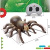 Discovery RC Tarantula Spider Remote Control Toy with Glowing Eyes