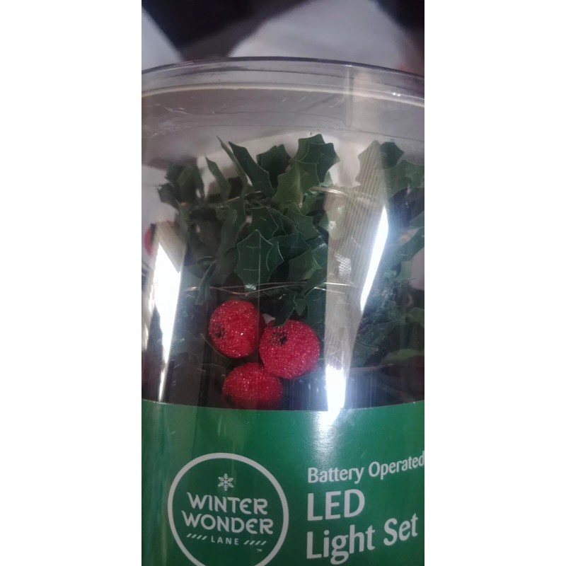 Winter wonder Lane - Holly berry Light 30 Count set