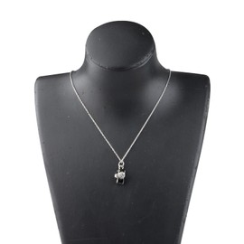 CENWA Photographer Gift Wedding Photographer Gift Camera Necklace Photographer Thank You Gift Camera Lover Gift (Camera N CA)