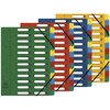 Exacompta 5324E Premium Folder Harmonica Made of Extra Strong Colorspan