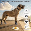 KOOLTAIL Dog Socks for Hot/Cold Pavement to Prevent Licking Paws,Dog