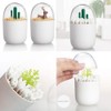HomDSim 2 Pack Creative Cotton Swab Holder,Cotton Bud Small Q-Tips
