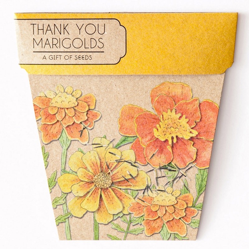 SOW 'N SOW Gift of Seeds - different styles, Poppy