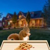 Intoo Lifes Squirrel Feeder Case for Outside, Durable Wooden Squirrel