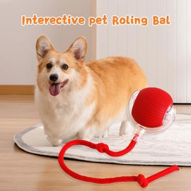 Interactive Rolling Dog Ball,Electric Dog Ball Toy,2024 New Interactive Rolling Ball Dog Toy,Viral Rolling Ball for Dog/Cat,360° Smart Automatic Rolling Ball Toy Rechargeable（Red+Green）