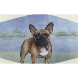 Pet Lover French Bulldog Lover's Face Mask Double Stitch Triple Filter High Quality