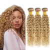 Highlight Bundles P27/613 Kinky Curly Human Hair Bundle Ombre Hair
