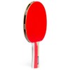 DIONE S1 - Table Tennis Bat - Table Tennis Bat
