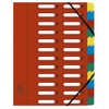 Exacompta 5324E Premium Folder Harmonica Made of Extra Strong Colorspan
