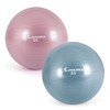 Iwana Anti-Burst Pastel Gym Ball 55cm Wild Pink