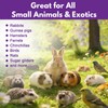 Zhizaiql Topical Solution for Rabbits, Guinea Pigs & Exotics, Relieves