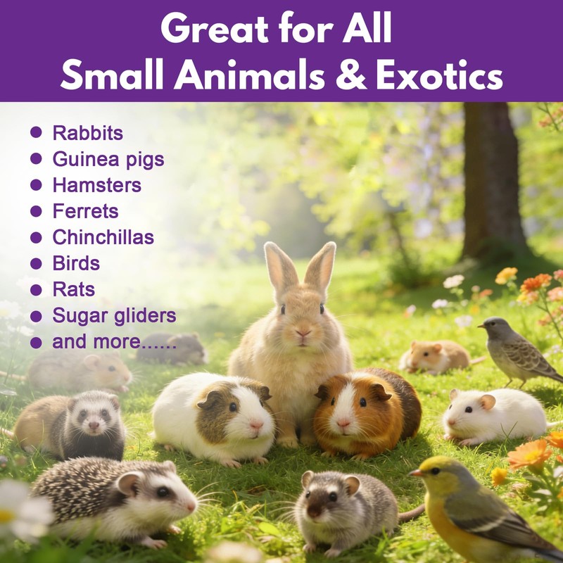 Zhizaiql Topical Solution for Rabbits, Guinea Pigs & Exotics, Relieves