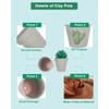 vensovo 48 Pcs 2" Tiny Terracotta & Terra Cotta Pots