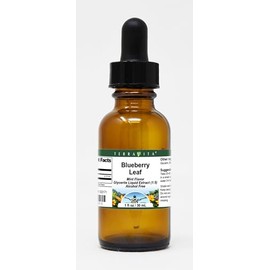 Blueberry Leaf Glycerite Liquid Extract (1:5) - Mint Flavored (1 oz, ZIN: 522171)