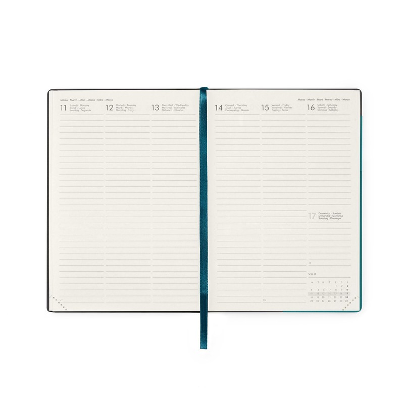 Weekly Calendar Medium - 2024 - Medium Weekly Diary -