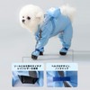 Raincoat for Dogs, Transparent Cap, 4 Legs, Compatible with Rainy