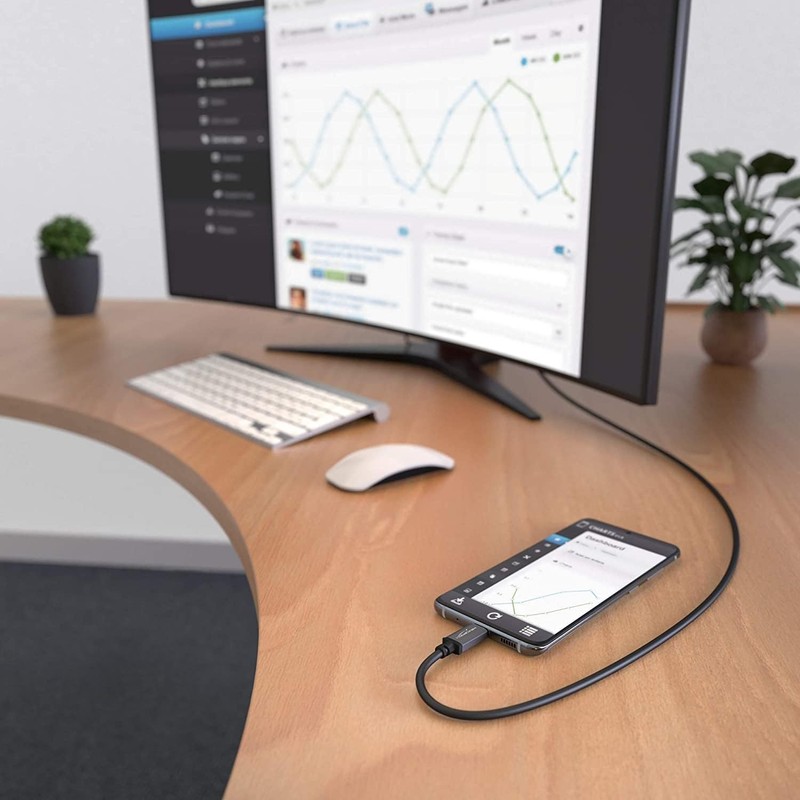 INF USB-C to DisplayPort (DP) Adapter 4K (1.8 m) Black