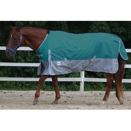 Rugged Ride 1200 Denier Midweight Waterproof Turnout Blanket - with Grey Skirt - 200 gram Fill