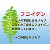 ファイン フコイダン メカブ抽出物300mg アガリクスエキス30mg配合 国内生産 33日分(1日6粒/198粒入)×2個セット