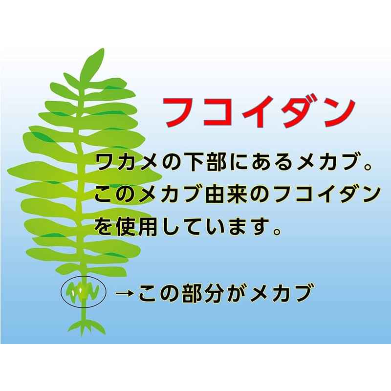 ファイン フコイダン メカブ抽出物300mg アガリクスエキス30mg配合 国内生産 33日分(1日6粒/198粒入)×2個セット