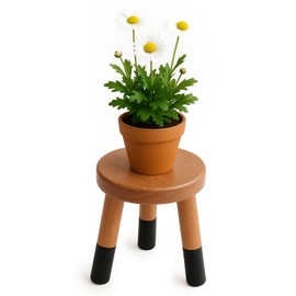 JOLLYMER Rubber Wood 9” Round Plant Stand |Dip Dyed Plant Stand, Riser |Wood Accent Stool (10" H)