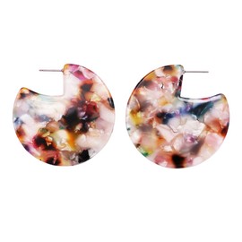 Rosemarie Collections Women's Lucite Solid Disc Hoop Dangle Earrings 1.75 Inches, Metal