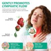 Lymphatic Drops 60ml - Plant Based Herbal Supplement for Wellness