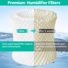 Gazeer Humidifier Replacement Filter Compatible with Canopy Bedside and Nursery