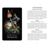Midnight Magic: A Tarot Deck of Mushrooms - Cards
