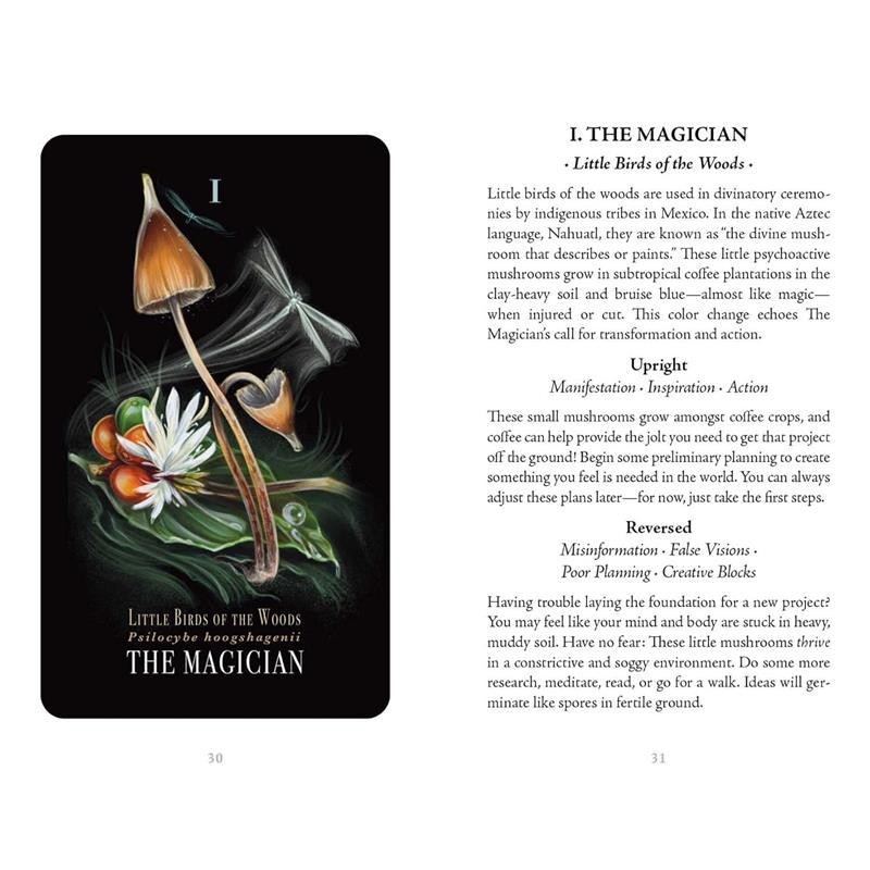 Midnight Magic: A Tarot Deck of Mushrooms - Cards