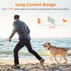 Shock Collar for Dogs, IP67 Waterproof Dog Training Collar with