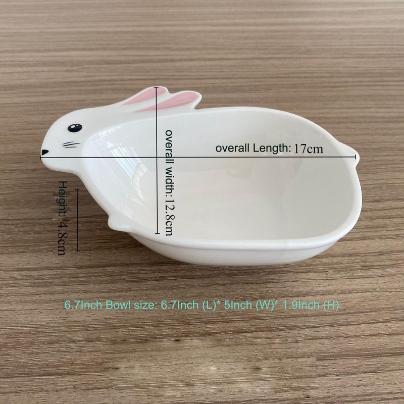 YBK Tech Cute Ceramic Rabbit Bowl for Easter or Daily