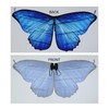 Seasons Adult Butterfly Cape Wings, Sapphire Blue, One Size