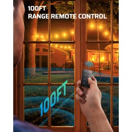 DEWENWILS Outdoor Dimmer for String Lights, 125V Dimmer Plug with 100FT Remote