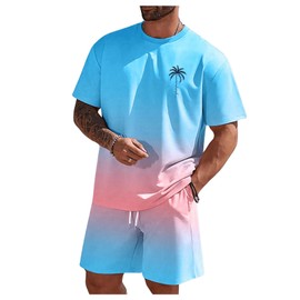 RoseSeek Men's Short Sets 2 Piece Outfits Tropical Graphic Tees and Shorts Sets Beach Vacation Outfits Blue and Pink XXXXL