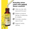 Remedio Rescate Dropper Bach Natural Aliviar