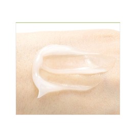 Nature Republic Mild Green Tea Cream 55ml