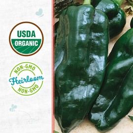 Back to the Roots - 100% Organic Seed Packet - Chili Pepper 'Poblano' 140mg