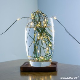 ZELUXDOT Fairy Lights Plug in,660FT 2000LEDs Waterproof Led String Lights,8 Modes Remote Twinkle Light for Outdoor Indoor Christmas Wedding Birthday Garden Party Decorations,Green Wire,Warm White